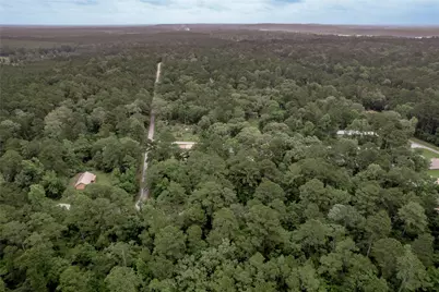 Lot 08 Oak Drive, Trinity, TX 75862 - Photo 24