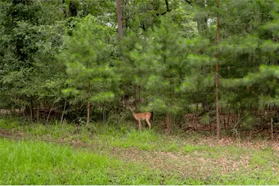 Lot 08 Oak Drive, Trinity, TX 75862 - Photo 32
