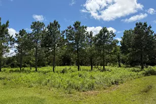 ***** Tranquil Trace St, Algoa, TX 77511 - Photo 1