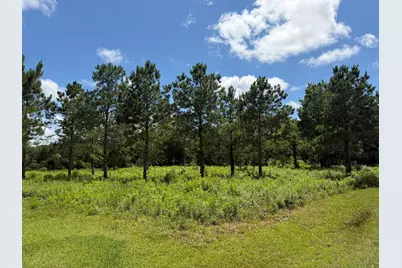 ***** Tranquil Trace St, Algoa, TX 77511 - Photo 4