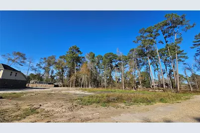 818 Scribe Street, New Caney, TX 77357 - Photo 2