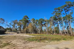 818 Scribe St, New Caney, TX 77357 - Photo 6