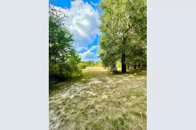 3277 County Road 3479B, Cleveland, TX 77327 - Photo 4