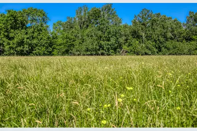 00000 Flat Prairie Road, Washington, TX 77880 - Photo 4