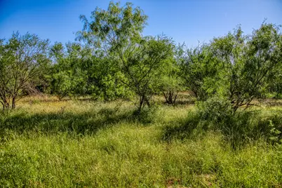 00000 Flat Prairie Road, Washington, TX 77880 - Photo 6