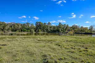 125 Acres Spring Branch Rd, Montgomery, TX 77316 - Photo 20