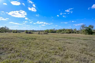125 Acres Spring Branch Rd, Montgomery, TX 77316 - Photo 6