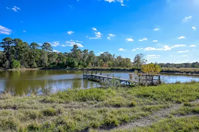 125 Acres Spring Branch Road, Montgomery, TX 77316 - Photo 8