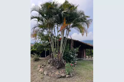 Condominio Campestre Las Colinas De Niza #28, Irving, TX  - Photo 16