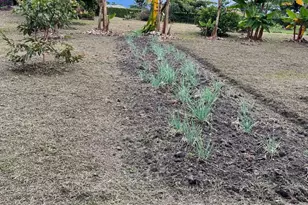 Condominio Campestre Las Colinas De Niza, Irving, TX - Photo 12