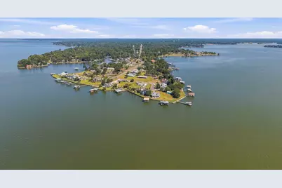 236 Vivian Road, Onalaska, TX 77360 - Photo 50
