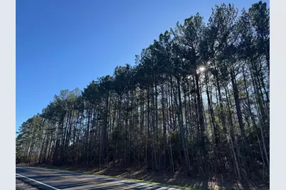 Tbd Fm 1745 N, Colmesneil, TX 75938 - Photo 6