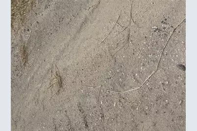 000 County Road 3364, Alice, TX 78332 - Photo 6