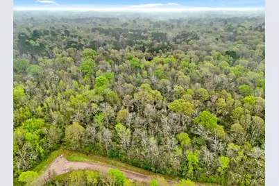 10211 S Essex Drive, Conroe, TX 77302 - Photo 2