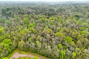 10211 S Essex Dr, Conroe, TX 77302 - Photo 2