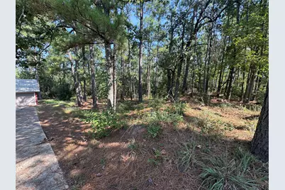 164 Pine Hollow Cove, Brookeland, TX 75931 - Photo 2