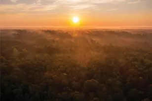 16222 Ridge Oak Rd, Willis, TX 77378 - Photo 24