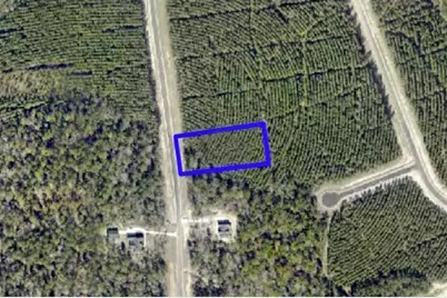 16222 Ridge Oak Road, Willis, TX 77378 - Photo 4