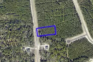 16222 Ridge Oak Rd, Willis, TX 77378 - Photo 4