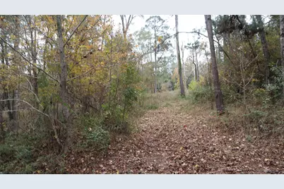 0 E Mourning Dove, Coldspring, TX 77331 - Photo 2