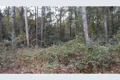 0 E Mourning Dove, Coldspring, TX 77331 - Photo 4