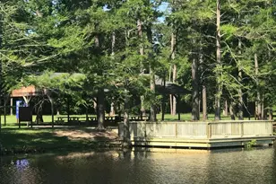 123 Neches Nook Ct, Conroe, TX 77304 - Photo 32