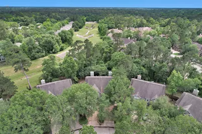 191 Blushwood Place, The Woodlands, TX 77382 - Photo 2