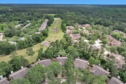 191 Blushwood Place, The Woodlands, TX 77382 - Photo 38