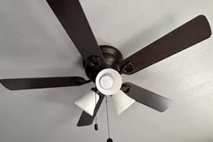 2419 Pannell St, Houston, TX 77026 - Photo 10