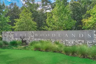 42 Golden Shadow Cir, The Woodlands, TX 77381 - Photo 1