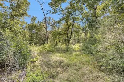14657 Cedar Lane Loop, Willis, TX 77378 - Photo 24