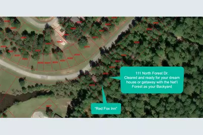 111 North Forest Drive, Huntsville, TX 77340 - Photo 1