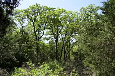 1035 Old Sayers Road, Elgin, TX 78621 - Photo 6