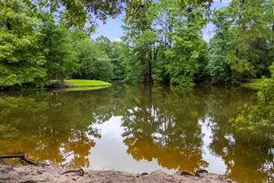27 W Stony Bridge Ct, The Woodlands, TX 77381 - Photo 30