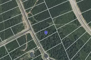 15720 Grey Hawk Ln, Willis, TX 77378 - Photo 4