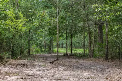 4986 Old Wagon Lane, Richards, TX 77873 - Photo 48