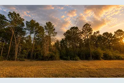15634 Forest Knoll Road, Willis, TX 77378 - Photo 4