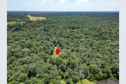 16 Magnolia Road, Woodbranch, TX 77357 - Photo 28