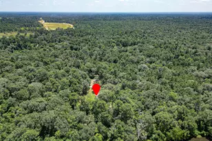16 Magnolia Rd, Woodbranch, TX 77357 - Photo 28