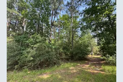 91 Meadow Lake Drive, Trinity, TX 75862 - Photo 8