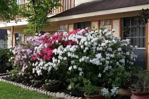 15007 Walters Rd, Houston, TX 77068 - Photo 50