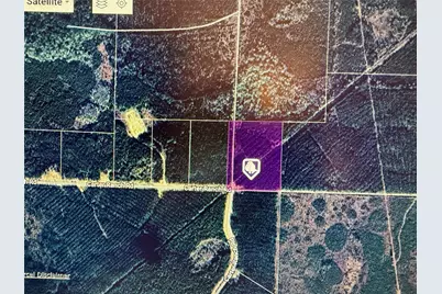 Lot 39 Carter Ranch Road, Kountze, TX 77625 - Photo 6