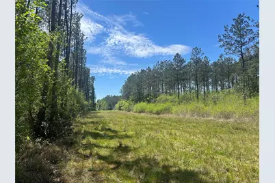 Lot 39 Carter Ranch Road, Kountze, TX 77625 - Photo 1