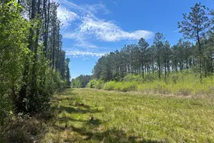 Lot 39 Carter Ranch Rd, Kountze, TX 77625 - Photo 1