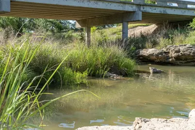 47 Acres White Oak Rd, Fredericksburg, TX 78624 - Photo 14