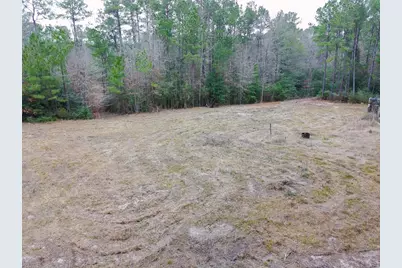 209 Joskey Dykes Road, Zavalla, TX 75980 - Photo 6