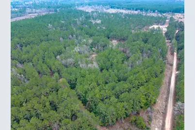 209 Joskey Dykes Road, Zavalla, TX 75980 - Photo 1