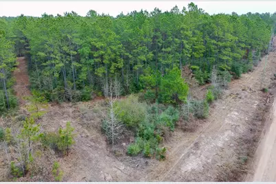 209 Joskey Dykes Road, Zavalla, TX 75980 - Photo 8