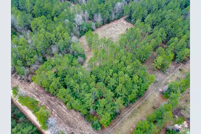 209 Joskey Dykes Road, Zavalla, TX 75980 - Photo 2