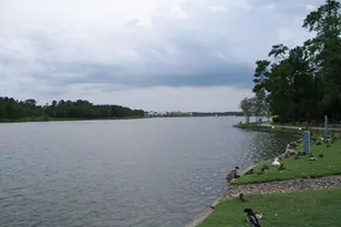 6 W Prairie Dawn Cir, The Woodlands, TX 77385 - Photo 24